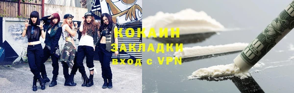 индика Армянск