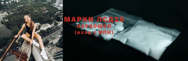 индика Армянск