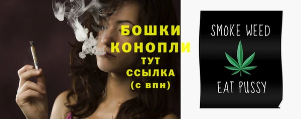 прущие грибы Балахна