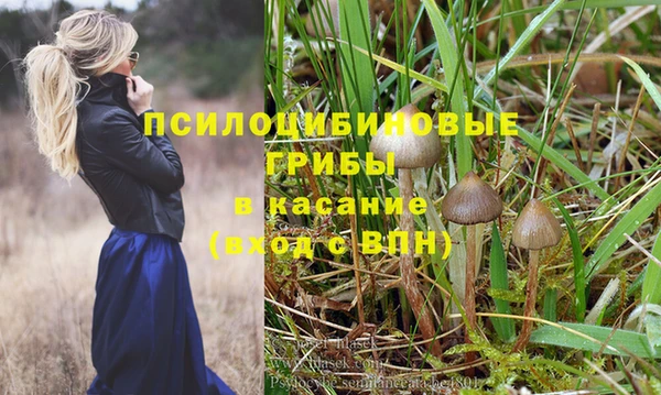 прущие грибы Балахна