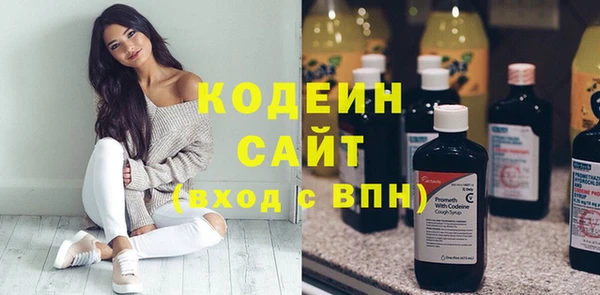 индика Армянск